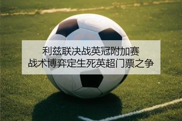 利兹联决战英冠附加赛 战术博弈定生死英超门票之争