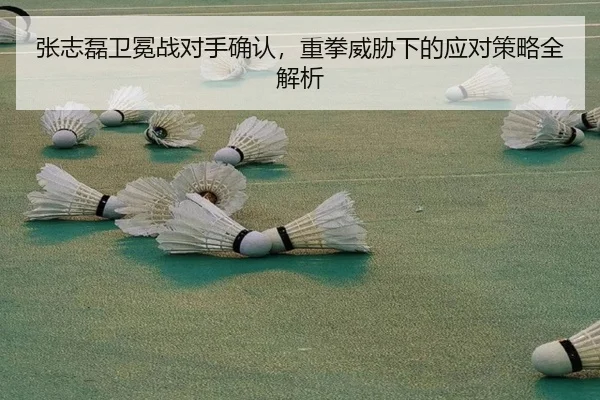张志磊卫冕战对手确认，重拳威胁下的应对策略全解析